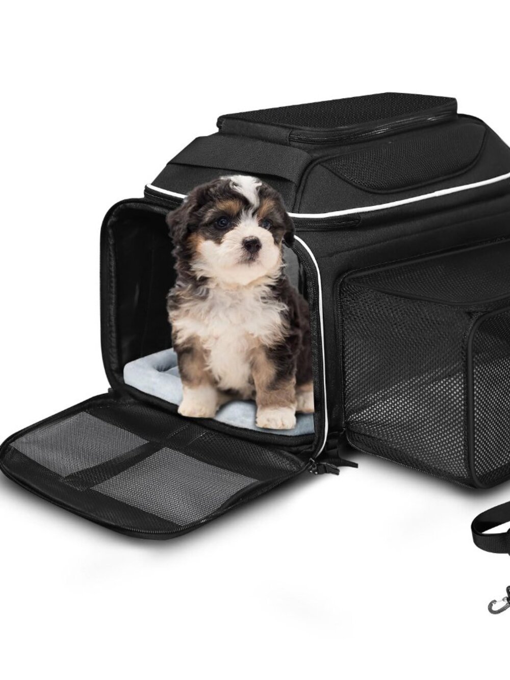 Petskd Top and Side Expandable Pet Carrier 18x11x11 Inches Small Cats/Dogs